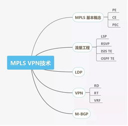 網(wǎng)絡(luò)工程師技能圖譜 從基礎(chǔ)架構(gòu)到前沿技術(shù)的全面掌握